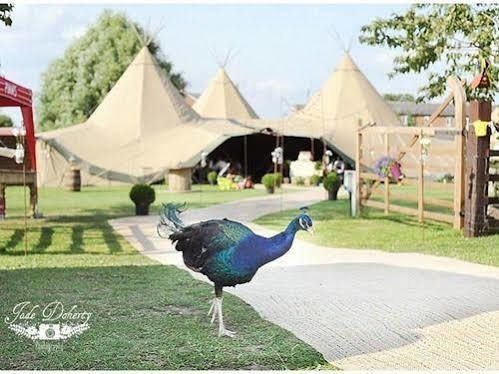 Skipbridge Farm Shepherds Huts Campground Green Hammerton Exterior foto